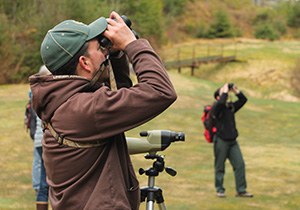 Stikine River Birding Festival in Southeast Alaska